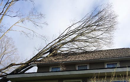 Lafayette Emergency Roof Repair